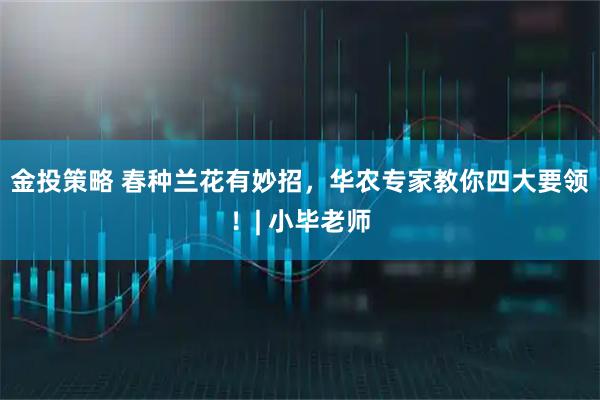 金投策略 春种兰花有妙招，华农专家教你四大要领！| 小毕老师