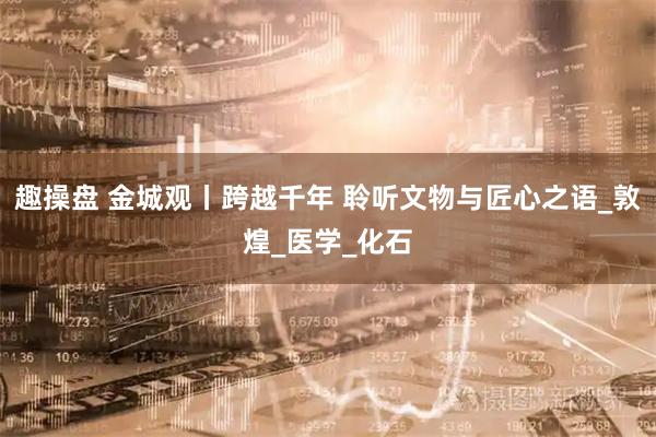 趣操盘 金城观丨跨越千年 聆听文物与匠心之语_敦煌_医学_化石
