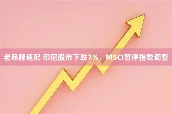 老品牌速配 印尼股市下跌7%，MSCI暂停指数调整